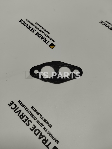 Прокладка 1P0436-BQ